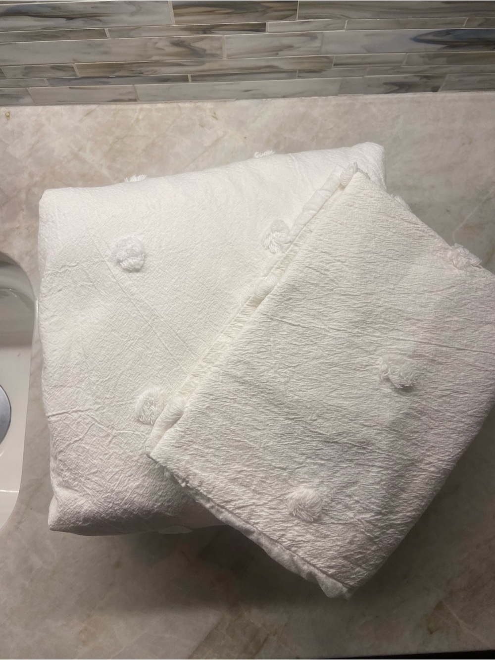 Pottery Barn Twin XL Duvet Cover and Pillowcase